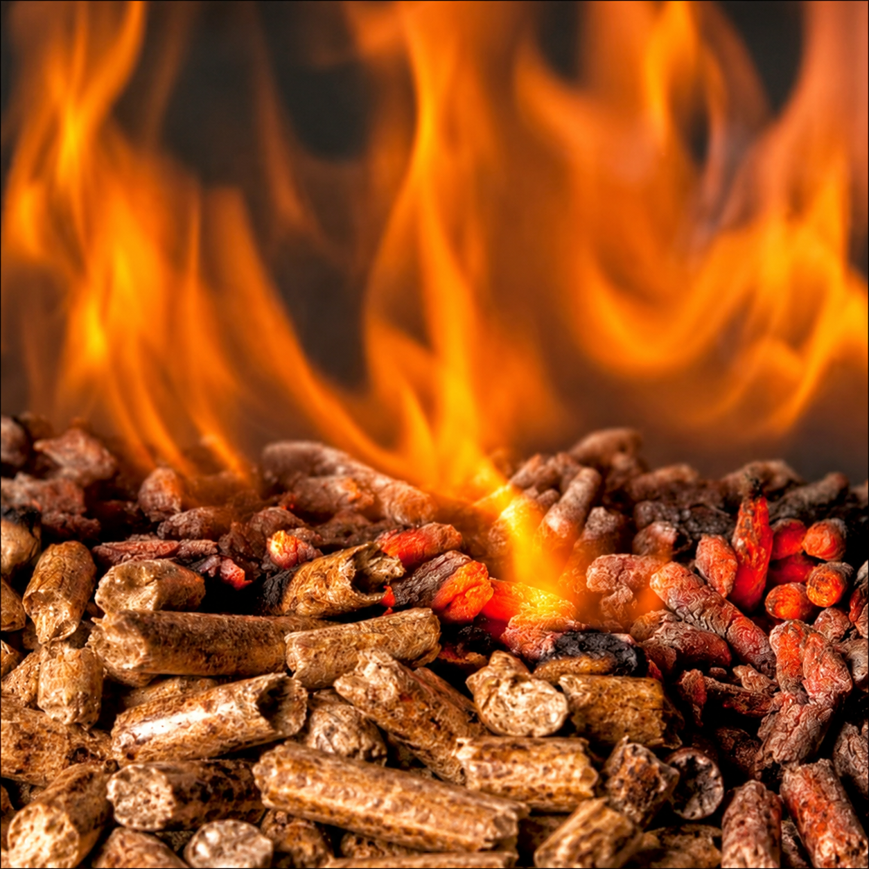 Pellets